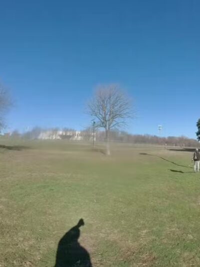 Z Bonz Dog Park - Fort Worth, TX