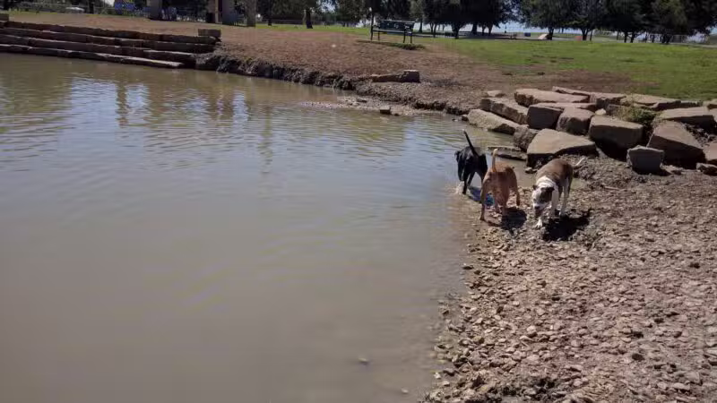 Z Bonz Dog Park - Fort Worth, TX