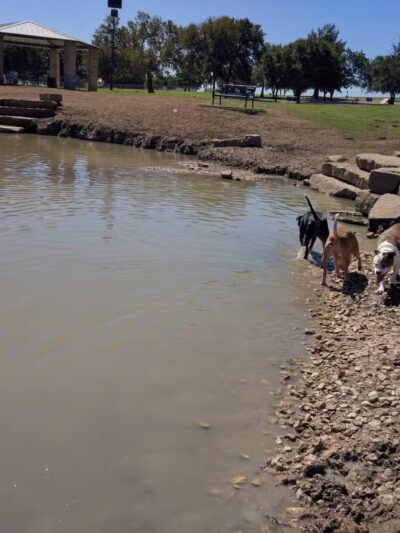 Z Bonz Dog Park - Fort Worth, TX