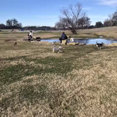 Z Bonz Dog Park - Fort Worth, TX