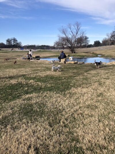 Z Bonz Dog Park - Fort Worth, TX