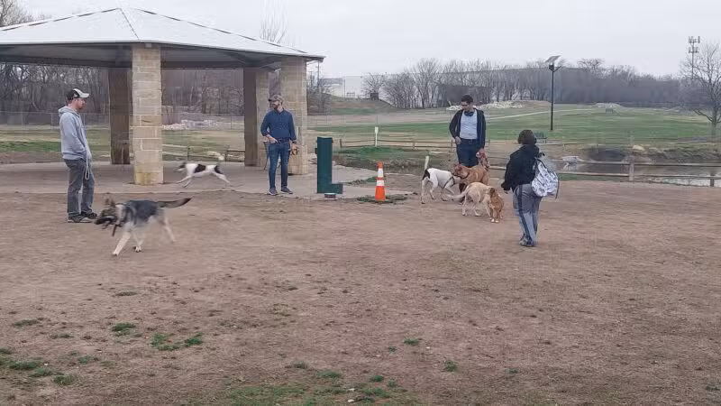 Z Bonz Dog Park - Fort Worth, TX