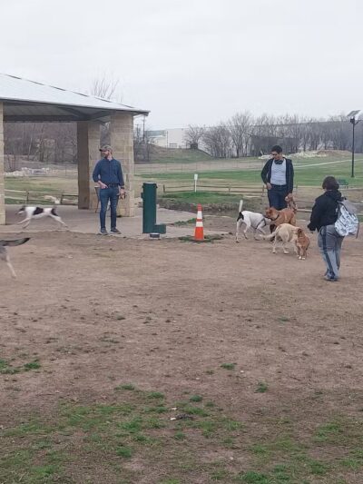 Z Bonz Dog Park - Fort Worth, TX