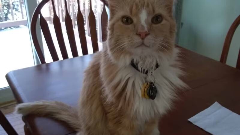 Prettyboy Veterinary Hospital - Freeland, MD