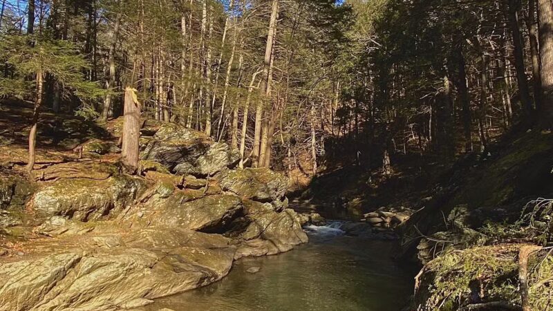 Upper Gunpowder - Freeland, MD