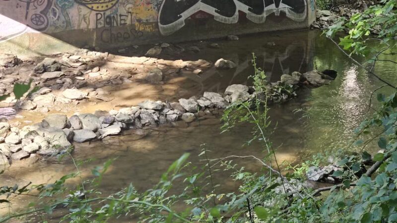 Upper Gunpowder - Freeland, MD