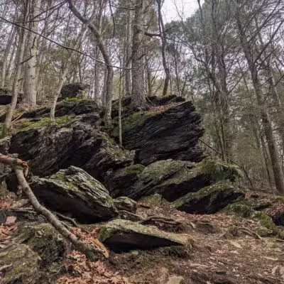 Upper Gunpowder - Freeland, MD