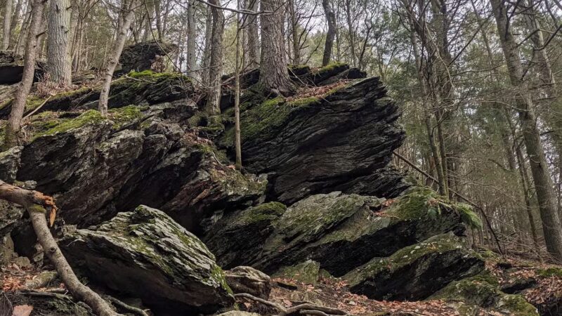 Upper Gunpowder - Freeland, MD