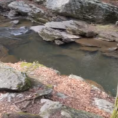 Upper Gunpowder - Freeland, MD