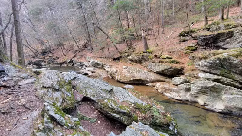 Upper Gunpowder - Freeland, MD