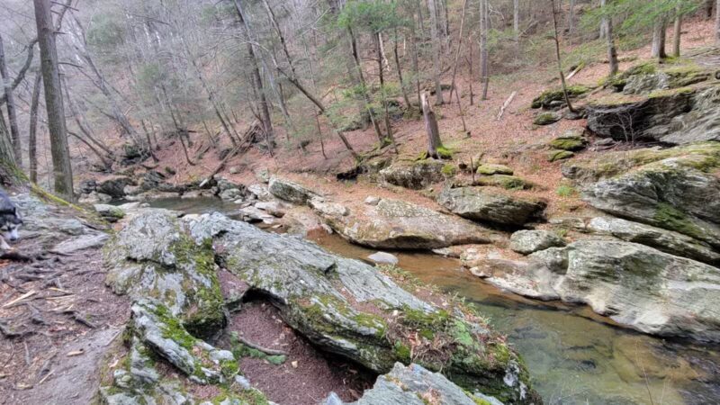 Upper Gunpowder - Freeland, MD