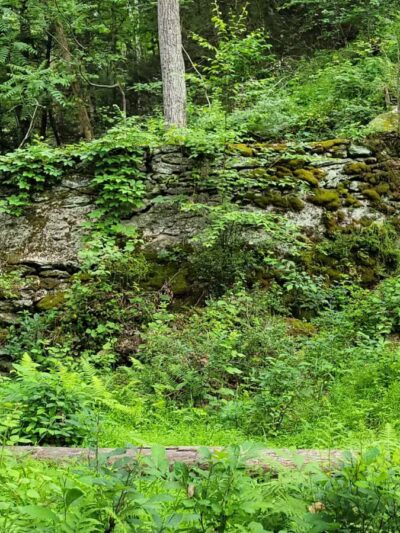 Upper Gunpowder - Freeland, MD