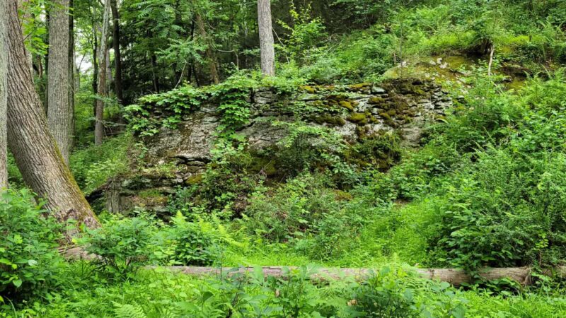 Upper Gunpowder - Freeland, MD