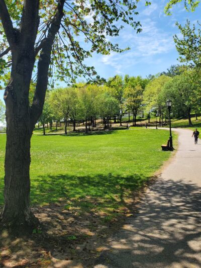 20th Century Field - Garfield, NJ