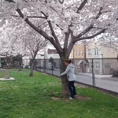 Malcom Avenue Playground - Garfield, NJ