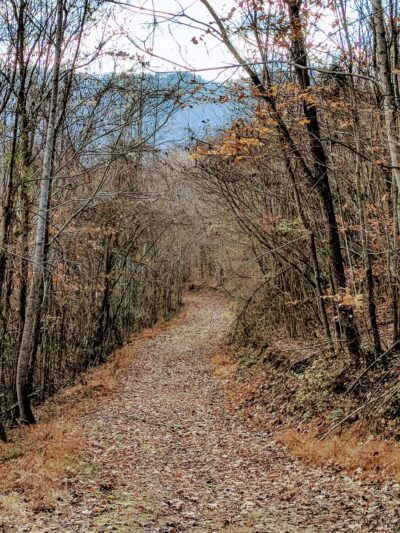 Scott County Park & Golf Course - Gate City, VA