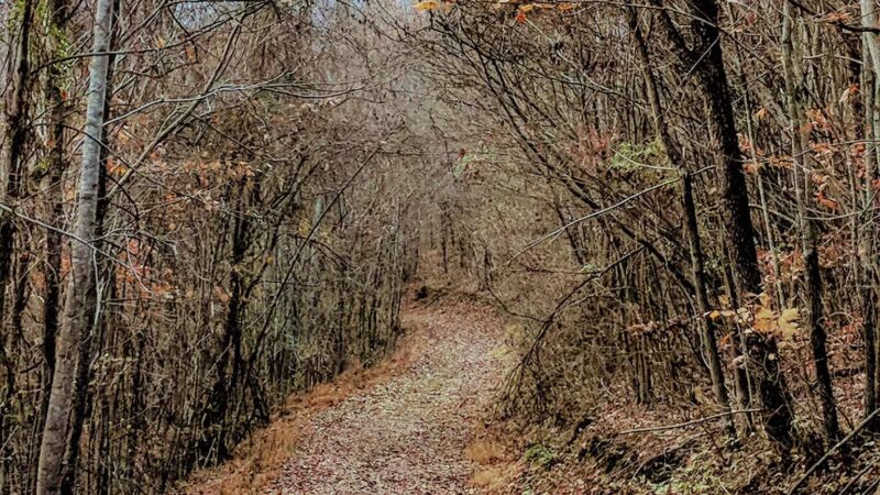 Scott County Park & Golf Course - Gate City, VA