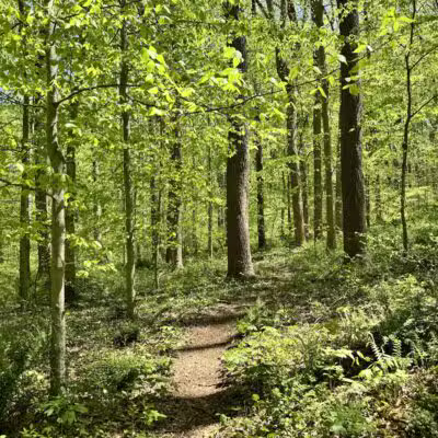 Gunpowder Falls State Park - Glen Arm, MD