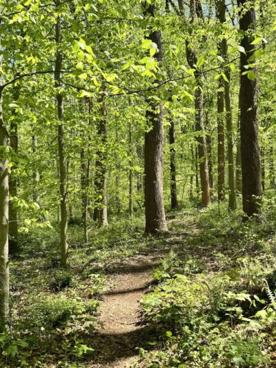 Gunpowder Falls State Park - Glen Arm, MD
