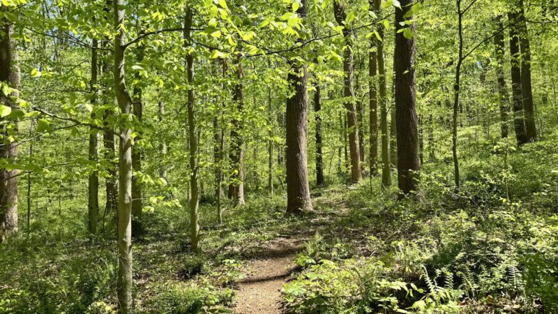 Gunpowder Falls State Park - Glen Arm, MD