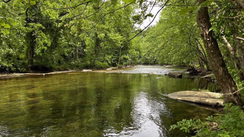 Gunpowder Falls State Park - Glen Arm, MD