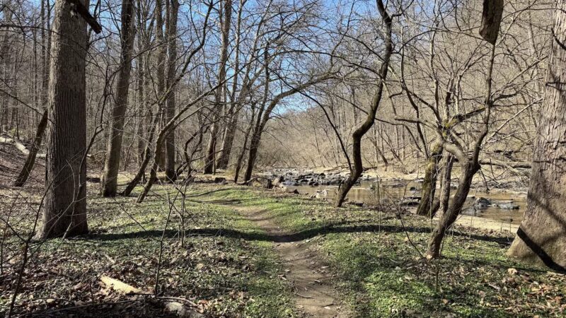 Gunpowder Falls State Park - Glen Arm, MD