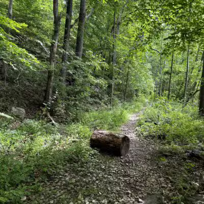 Gunpowder Falls State Park - Glen Arm, MD