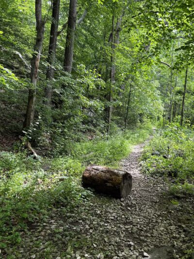 Gunpowder Falls State Park - Glen Arm, MD