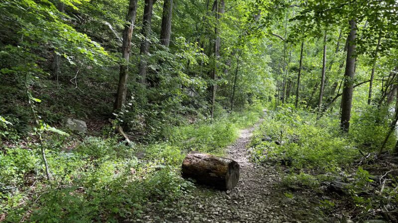 Gunpowder Falls State Park - Glen Arm, MD