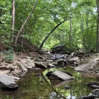 Gunpowder Falls State Park - Glen Arm, MD