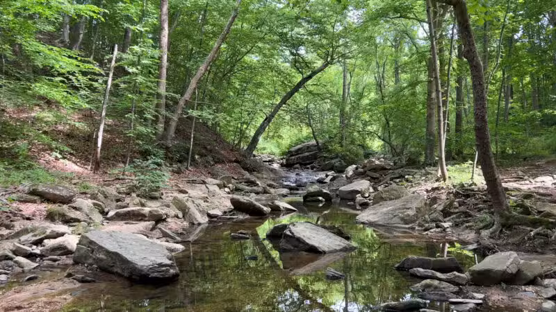 Gunpowder Falls State Park - Glen Arm, MD
