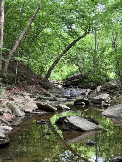 Gunpowder Falls State Park - Glen Arm, MD