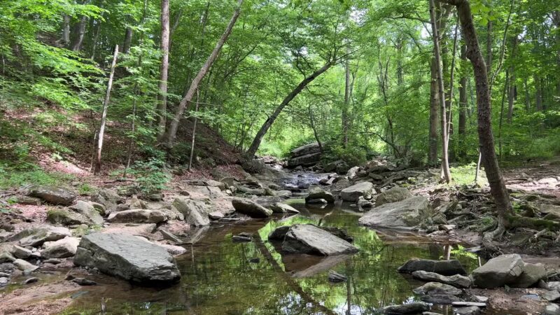 Gunpowder Falls State Park - Glen Arm, MD