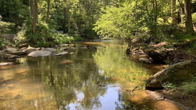 Gunpowder Falls State Park - Glen Arm, MD
