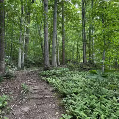 Gunpowder Falls State Park - Glen Arm, MD