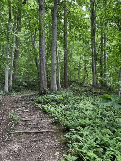Gunpowder Falls State Park - Glen Arm, MD