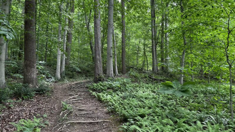 Gunpowder Falls State Park - Glen Arm, MD