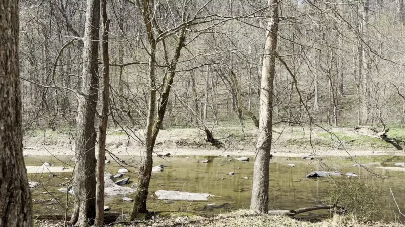 Gunpowder Falls State Park - Glen Arm, MD