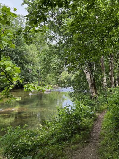 Gunpowder Falls State Park - Glen Arm, MD