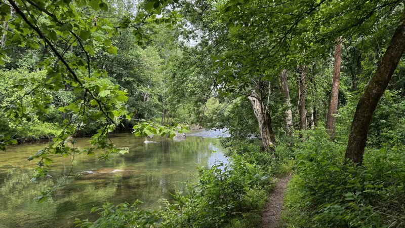 Gunpowder Falls State Park - Glen Arm, MD