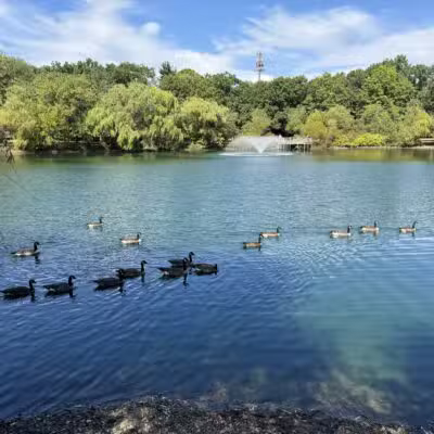 Glen Rock Duck Pond - Glen Rock, NJ