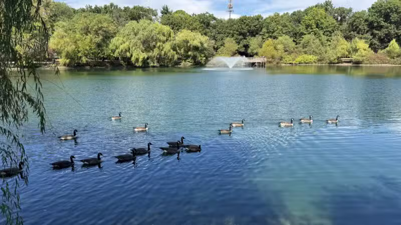 Glen Rock Duck Pond - Glen Rock, NJ