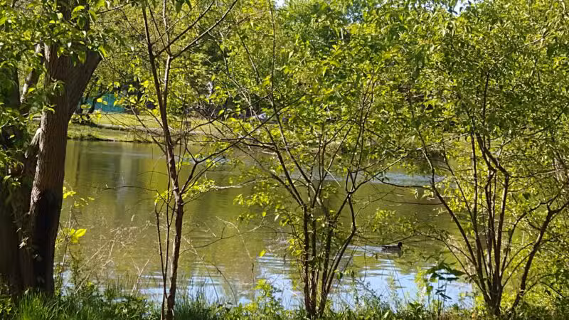 Glen Rock Duck Pond - Glen Rock, NJ