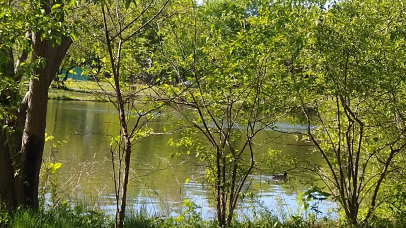 Glen Rock Duck Pond - Glen Rock, NJ