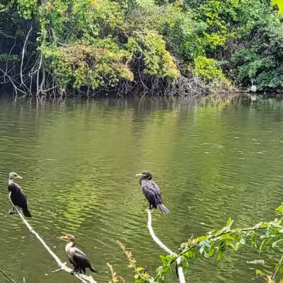 Saddle River Park Waterfall - Glen Rock, NJ