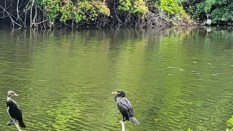 Saddle River Park Waterfall - Glen Rock, NJ