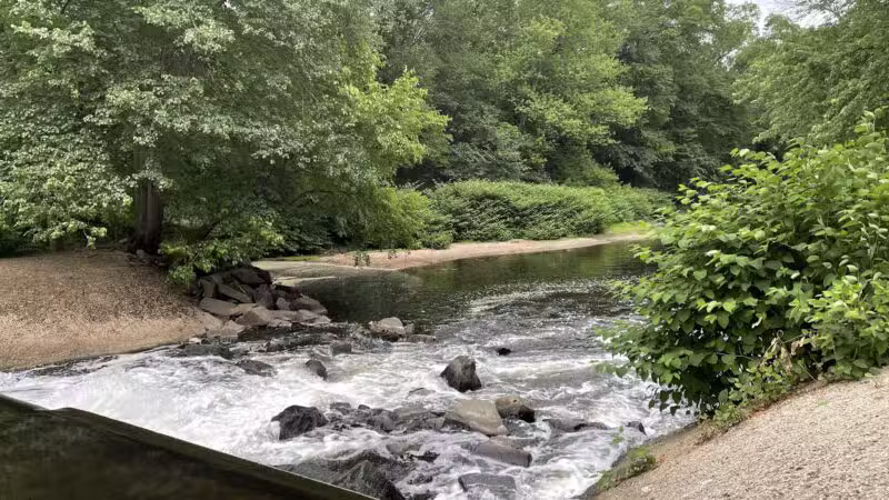 Saddle River Park Waterfall - Glen Rock, NJ