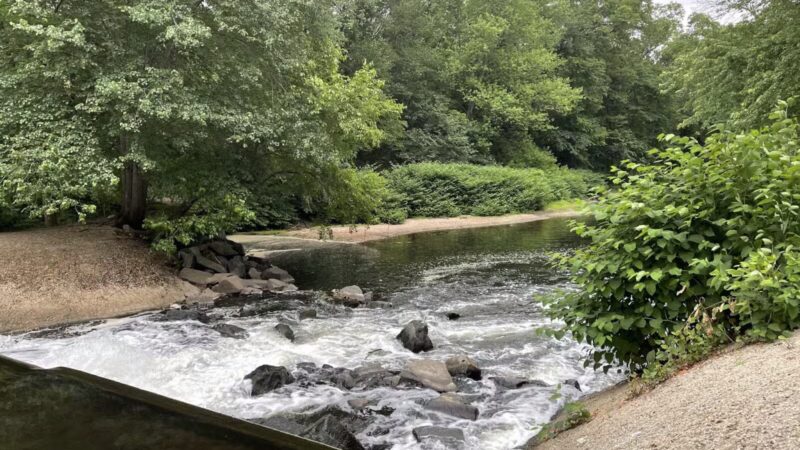 Saddle River Park Waterfall - Glen Rock, NJ