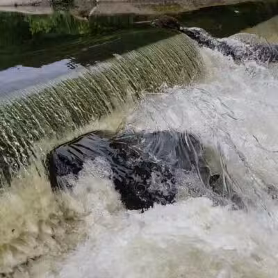 Saddle River Park Waterfall - Glen Rock, NJ
