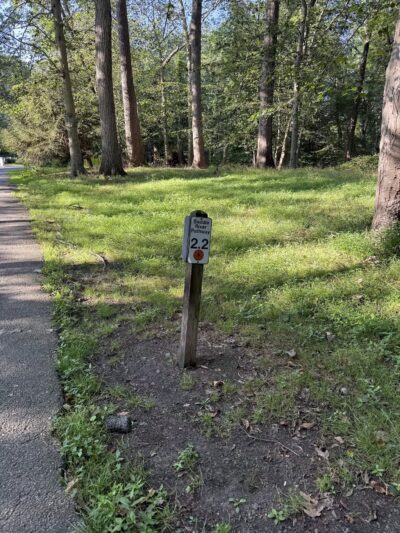 Saddle River Park Waterfall - Glen Rock, NJ